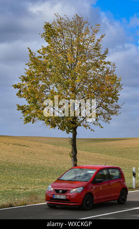 Greiffenberg, Germany. 16th Sep, 2019. A car drives past a lime tree coloured in autumn on an avenue in the district of Uckermark. Credit: Patrick Pleul/dpa-Zentralbild/ZB/dpa/Alamy Live News Stock Photo
