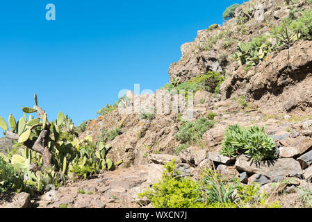 Mountain hiking on La Gomera Stock Photo