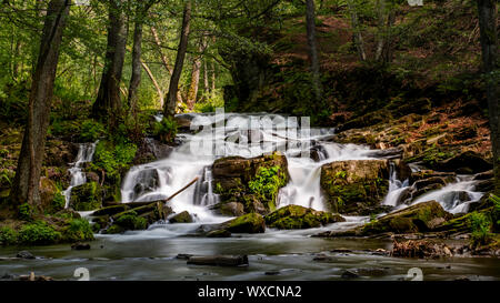 Selke waterfall in the Harz Mountains Stock Photo