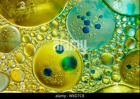 Colourful oil ink bubbles and drops. Abstract template mixed texture background. Wallpaper pattern. Stock Photo
