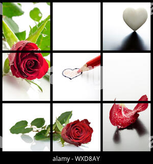 Valentines day collage- a set of five photos of roses and hearts. Stock Photo
