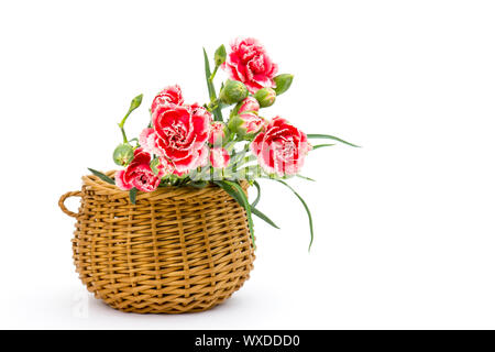 Carnations in a basket on white background Stock Photo