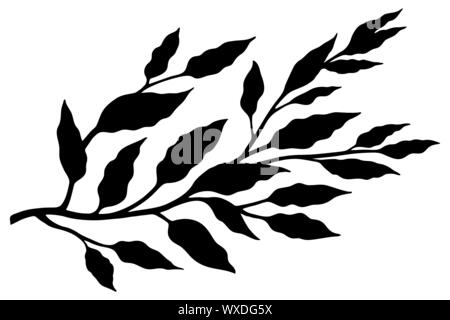 Hand drawn ink sketch  branch plants with leaves. Graphic botanicalvector illustration isolated on a transparent background Stock Vector