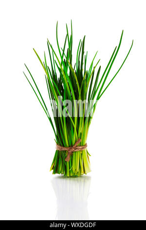 String Chive Fresh organic chive bunch bound with brown natural string isolated on ...