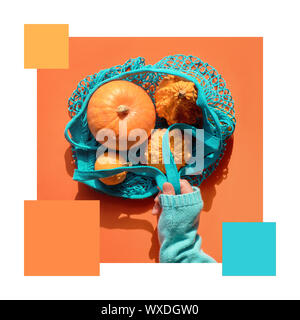 Trendy color matching complementary palette from Autumn flat lay with hand in light blue sweater holding turquoise string bag with orange pumpkins on Stock Photo