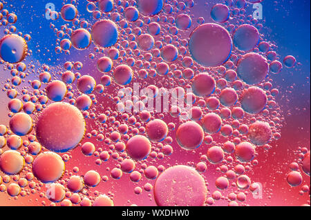Colourful oil ink bubbles and drops. Abstract template mixed texture background. Wallpaper pattern. Stock Photo