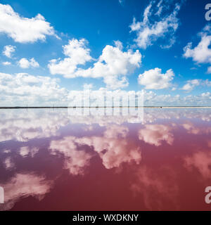 Salt pink lagoon in Las Coloradas, Yucatan, Mexico Stock Photo