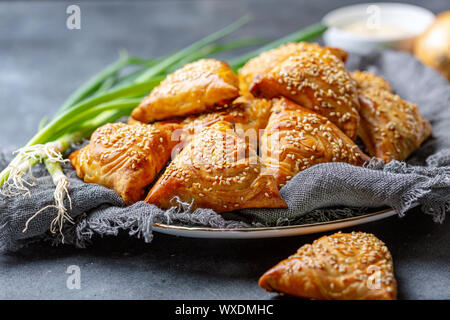 Delicious samosas with meat. Stock Photo