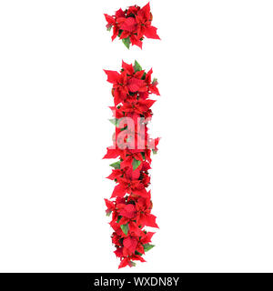 letter from red christmas flowers isolated on white Stock Photo