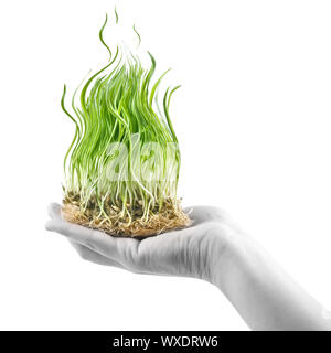 human hand holding green grass in shape of fire on white Stock Photo