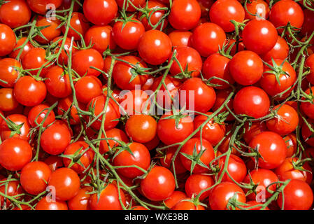 Red tomatoes background. Group of fresh cherry tomatoes. Stock Photo