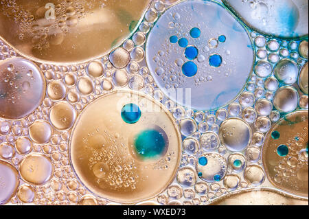 Colourful oil ink bubbles and drops. Abstract template mixed texture background. Wallpaper pattern. Stock Photo