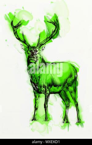 antique stag art drawing handmade nature Stock Photo