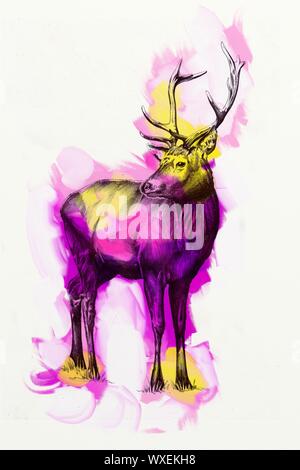 antique stag art drawing handmade nature Stock Photo