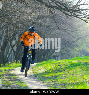 Cyclist Riding the Bike on the Trail in the Beautiful Spring Forest Stock Photo
