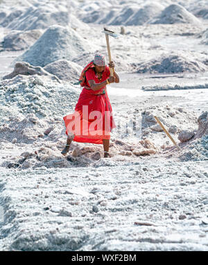 SAMBHAR LAKE TOWN-NOVEMBER 19: An unidentified Indian woman working on the salt farm, November 19, 2012, in Sambhar lake town, Sambhar salt lake, Raja Stock Photo