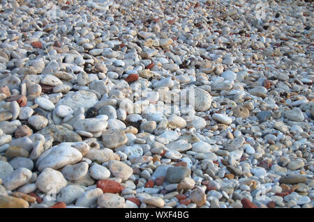 light coloured round flat stone on beach Stock Photo