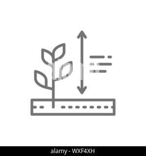 Vector plants growing, plant height line icon. Stock Vector