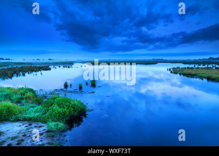 early blue calm morning dusk over swamp, Drenthe Stock Photo