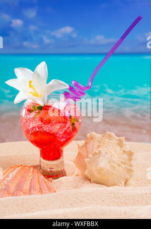 Beach tropical red cocktail on caribbean white sand flower and seashell Stock Photo