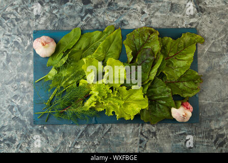 GREEN VEGETABLES ON A DARK BACKGROUND. DILL LETTUCE ONIONS ON A DARK BACKGROUND. Stock Photo