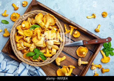 Wild chanterelles in a wicker basket close-up. Stock Photo