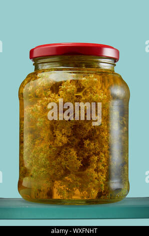 Glass jar with various tinctures in isolate Stock Photo
