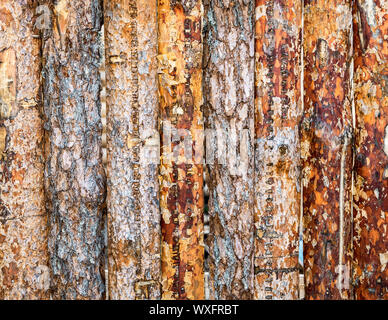 Old rough wooden boards with natural patterns as background. Wooden planks texture Stock Photo