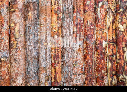 Old rough wooden boards with natural patterns as background. Wooden planks texture Stock Photo