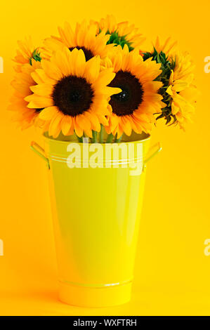 Yellow sunflowers in a tin vase. Dark background Stock Photo - Alamy