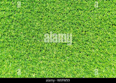 Decorative artificial green grass as background texture Stock Photo