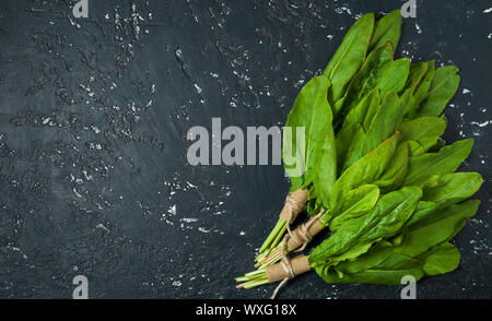 Green sorrel. Fresh sorrel leaves on a dark surface. View from above. Copy space Stock Photo