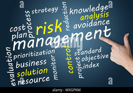 Business concept: Risk management in word tag cloud Stock Photo