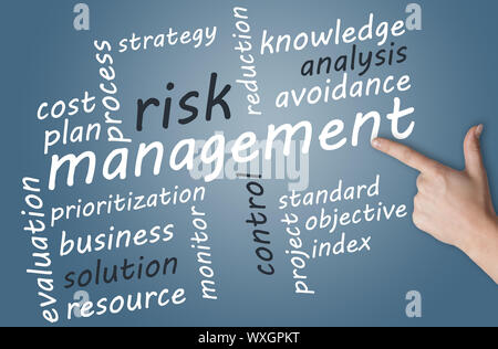 Business concept: Risk management in word tag cloud Stock Photo