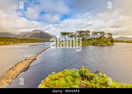 Pine Island in Derryclare Lough in the Connemara National Park,  Ireland Stock Photo