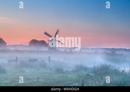 Dutch windmill in dense morning fog at summer sunrise Stock Photo