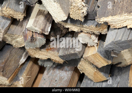 Stack of beech chopped firewoods prepared for firing Stock Photo