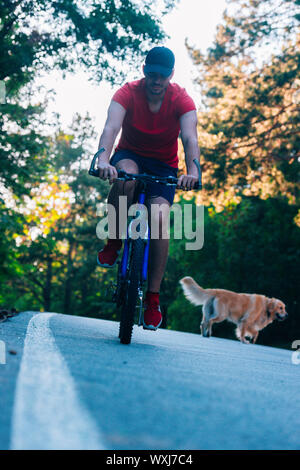 Bicyclist (biker) rides his bicycle in nature while being accompanied by his dog a golden retriever. Stock Photo