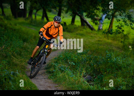 Cyclist Riding the Bike on the Trail in the Beautiful Summer Forest Stock Photo