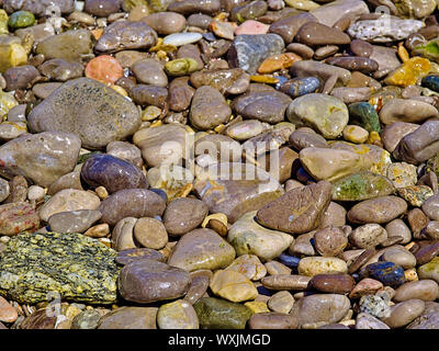 Beach colorful pebbles close up, beautiful textured seamless background. Stock Photo
