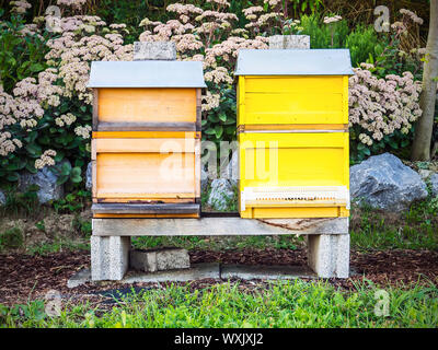 Picture of two been boxes in the nature Stock Photo