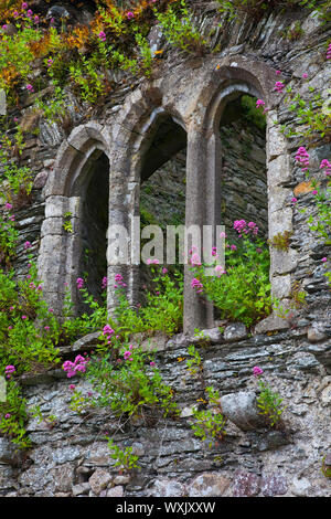 Torre del Black Castle. Pueblo Inistioge. Condado de Kilkenny. Sureste de Irlanda. Stock Photo