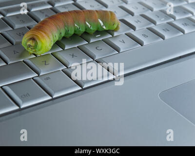 Macro shot of a caterpillar over a computer keyboard. Stock Photo