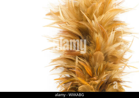 Feather broom isolated on white background Stock Photo