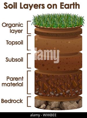 Diagram showing soil layers on earth illustration Stock Vector