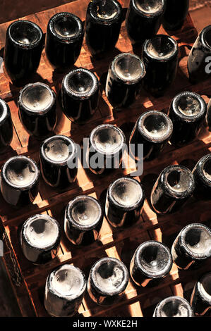 Upside down wine bottles maturing in wooden racks Stock Photo