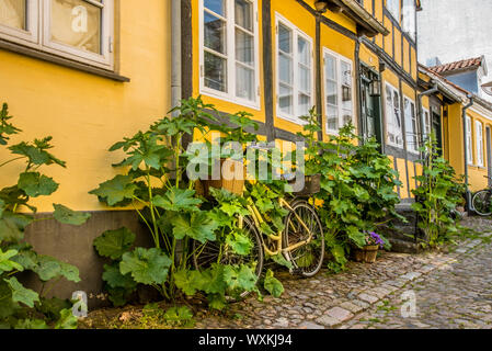 Yellow bike on the pavement overgrown with hollyhocks, leaning up against the wall of an old half-timbered house in Faaborg, Denmark, July 12, 2019