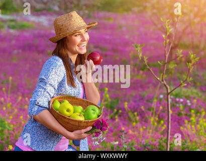 Happy woman eating apple, cute girl holding in hands basket with fresh ripe apples, having fun on pink floral field, harvest season concept Stock Photo