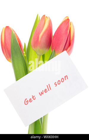 Pink and yellow tulips with get well soon greeting on white background Stock Photo
