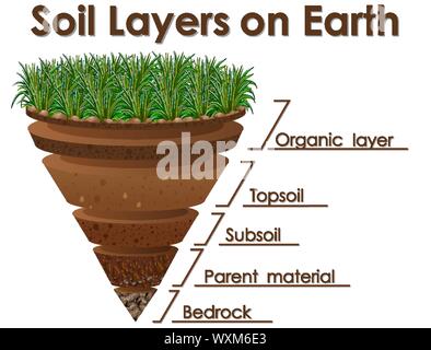 Diagram showing soil layers on earth illustration Stock Vector